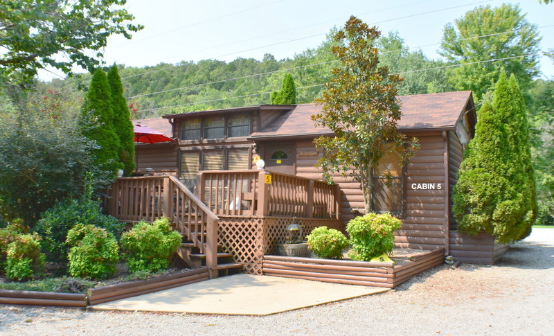 CABIN 5 VIEW