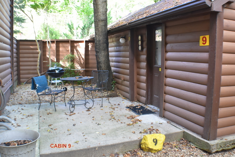 Cabin 9 Patio View