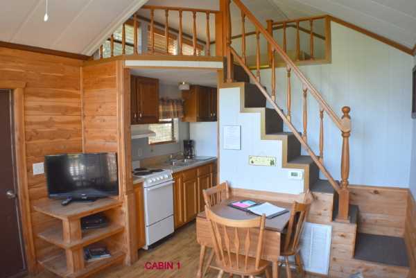 Cabin 1 Stair Case